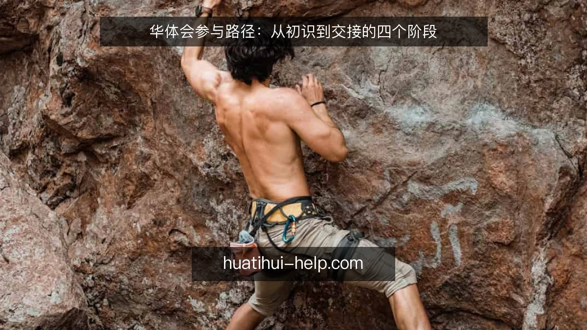 华体会参与路径：从初识到交接的四个阶段
